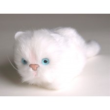 White Kitten 2325 by Piutrè 