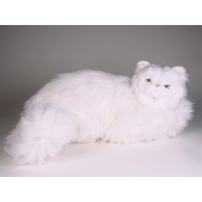 White Persian Cat 0312 by Piutrè