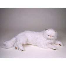 White Persian Cat 2393 by Piutrè