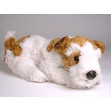 Wire Fox Terrier Puppy 3277 by Piutrè 