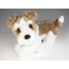 Wire Fox Terrier Puppy 3278 by Piutrè 