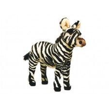 Zebra Colt 2679 by Piutrè 