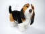 Basset Hound Puppy 3348 by Piutrè