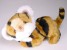 Bengal Tiger Cub (Mascot) 0553 by Piutrè