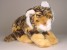 Bengal Tiger Cub 0402 by Piutrè