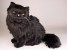 Black Persian Cat 2396 by Piutrè 