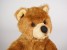Brown Bear Cub 2106 by Piutrè