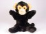 Chimpanzee (Puppet) 4303 by Piutrè
