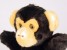 Chimpanzee (Puppet) 4303 by Piutrè