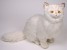 Chinchilla Golden Persian Cat 2305 by Piutrè 