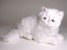 Chinchilla Silver Persian Kitten 2303 by Piutrè