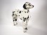 Dalmatian 3240 by Piutrè 