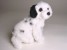 Dalmatian Puppy 1313 by Piutrè