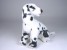 Dalmatian Puppy 3243 by Piutrè 