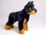 Doberman Pinscher (Miniature) 4288 by Piutrè 