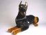 Doberman Pinscher (Reduced Size) 0271 by Piutrè