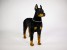 Doberman Pinscher 0272 by Piutrè