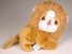 Lion Cub (Mascot) 0551 by Piutrè