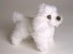 Miniature Poodle (Miniature) 4286 by Piutrè 