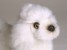Miniature Poodle (Miniature) 4286 by Piutrè 