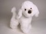 Miniature Poodle Puppy 0280 by Piutrè