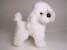 Miniature Poodle Puppy 0280 by Piutrè