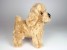 Miniature Poodle Puppy 0286 by Piutrè