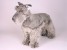 Miniature Schnauzer 1205 by Piutrè