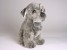 Miniature Schnauzer Puppy 1207 by Piutrè