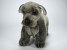 Miniature Schnauzer Puppy 1364 by Piutrè 