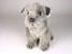 Miniature Schnauzer Puppy 1259 by Piutrè
