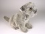 Miniature Schnauzer Puppy 1259 by Piutrè
