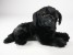 Newfoundland Puppy 2236 by Piutrè