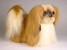 Pekingese 1250 by Piutrè