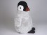 Penguin Chick 4841 by Piutrè