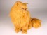 Red Persian Cat 2455 by Piutrè