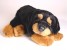 Rottweiler Puppy 3310 by Piutrè 