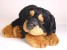 Rottweiler Puppy 3310 by Piutrè 