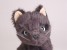 Russian Blue Kitten (Miniature) 4290 by Piutrè 