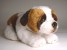 Saint Bernard Puppy 2297 by Piutrè 