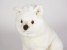 Samoyed Puppy 3259 by Piutrè 