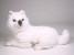 Samoyed Puppy 3260 by Piutrè 