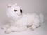 Samoyed Puppy 3260 by Piutrè 