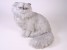 Silver Persian Cat 2424 by Piutrè