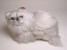 Silver Persian Kitten 2425 by Piutrè 