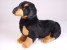 Smooth Dachshund Puppy 1212 by Piutrè