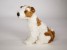 Wire Fox Terrier Puppy 3235 by Piutrè 