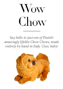 Chow Chow Promo Block